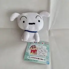 一番くじ「クレヨンしんちゃん」B賞 Cotettoぬいぐるみ（全3種のうち1種）