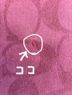 【SAIKOGOOD様確認用】