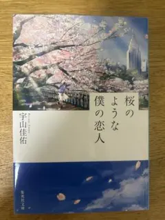 桜のような僕の恋人