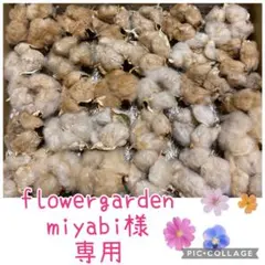 【38】コットンフラワー綿花　ベージュ・ブラウン