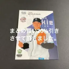 さとやん様 リクエスト 2点 まとめ商品