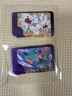 ポケモン　フレンダ　 ボーマンダ　イッカネズミ