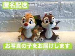 新品タグ付き　ぬいば　チップとデール　ディズニーハロウィン　２０２５　２点