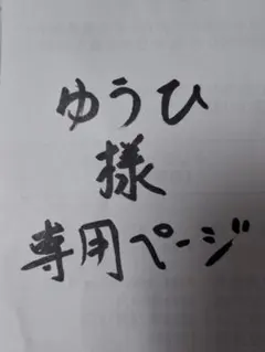 ゆうひ様専用ページ　オオスミライト　大隅石　鉱物
