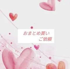 いちご大好き様 リクエスト 3点 まとめ商品