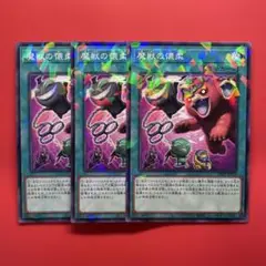 遊戯王　魔獣の懐柔　パラレル　3枚　DBJH