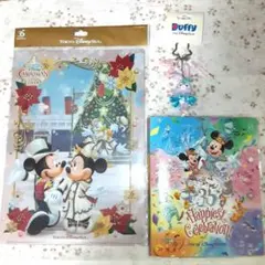 ディズニーリゾート限定　アルバム　クリアファイル　ステラルー　まとめ売り