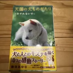 Item thumbnail for item af0464de-9b0e-4e2f-8c12-2ccbf3a45a2d