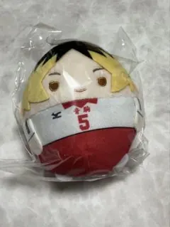 ！！専用！！ 【未開封】ハイキュー 孤爪研磨 ふわコロりん 17点まとめ売り 2025年最新】孤爪研磨ふわコロりんの人気アイテム - メルカリ