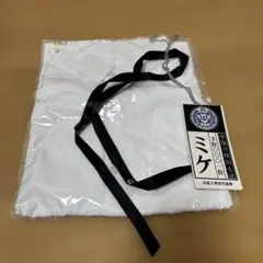 Item thumbnail for item 8ce345a5-99ea-49c4-a9e2-62c17e902f22