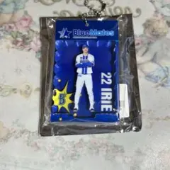 入江大生 記念グッズ