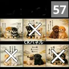 【57】CK様パネル　わんこ