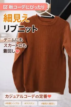 ブラウン リブニット 長袖 トップス 秋服 シンプル 細見え 着回し◎のサムネイル