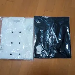 Item thumbnail for item ce41cc43-7c85-44e6-ad74-9e0ab6b3a975