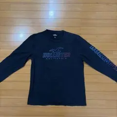 ホリスターカリフォルニア レインボーガル カモメロゴ　ロング Tシャツのサムネイル