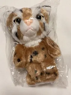 ツシマヤマネコ S キーホルダー