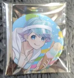 いれいす　ランダム缶バッジ第11弾　夏大将　hotoke