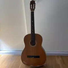 Dynamic Guitar No. 15 クラシックギター