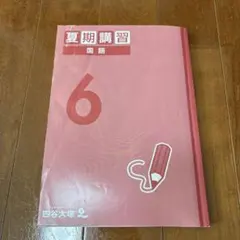 2025年度四谷大塚予習シリーズ 夏期講習 理科 小6年 解答付き - メルカリ