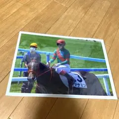 マナミン号　写真　永島まなみ騎手直筆サイン入り！A4 競馬