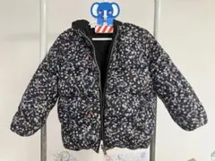 Item thumbnail for item 649f4575-d4dd-4d36-8428-a032cbec7b72