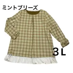 ❤️新品❤️ミントブリーズ 大きいサイズ 3L 長袖 カットソー チュニック