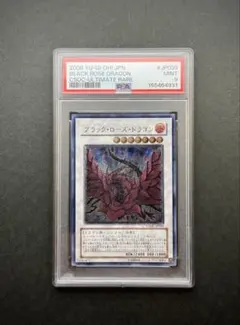 2026年最新】ブラックロータス psa10の人気アイテム - メルカリ