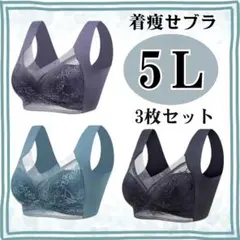 シームレスブラ ノンワイヤー 5L ナイトブラ 着痩せ 美胸 大きいサイズ 3枚