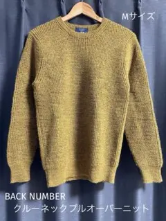 【1/15特価】 BACK NUMBER クルーネックプルオーバーニット M