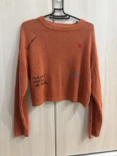 CPCM 春　秋　刺繍メッシュトップスのサムネイル