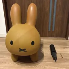 Item thumbnail for item 7cfac4ed-f2cb-4c09-b9ed-99d49bbdd811