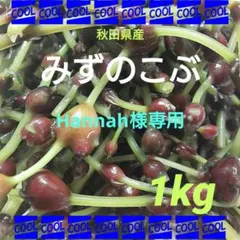 海老フライ様専用 秋田県産 みずのこぶ みずの実 クール便 - メルカリ