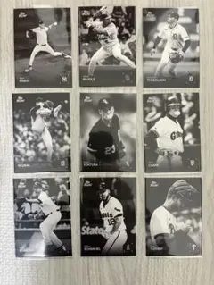 Item thumbnail for item a5d32118-667a-4398-9631-9b8f5b0fa715