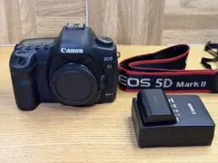 2025年最新】eos 10dの人気アイテム - メルカリ