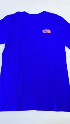 【値下げ】THE NORTH FACE extreme Tシャツ　S