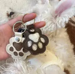 キーホルダー　ダークブラウン　ペット犬　猫　うさぎ　毛玉入れ　毛玉ケース　肉球型