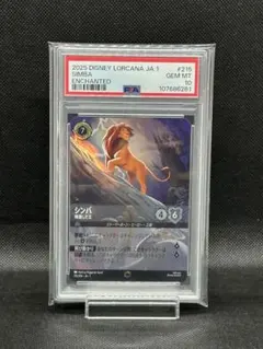 2025年最新】シンバ エンチャンテッドの人気アイテム - メルカリ