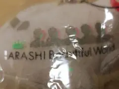 【非売品】未使用　超レア⭐️早い者勝ち❣️ JAL 嵐 モデルプレーン 特別塗装機 2025年最新】嵐 モデルプレーンの人気アイテム - メルカリ