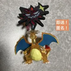 即送！【あくテラスタルリザードン】ポケットモンスター モンコレ フィギュア