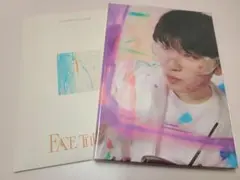 SEVENTEEN FACE THE SUN carat盤 WOOZI