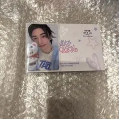 スキズ　本国ペンミグッズ