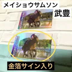 武豊 30周年アニバーサリー写真集サイン入り 新品☆未開封】メイショウサムソン☆武豊 サイン入り - メルカリ