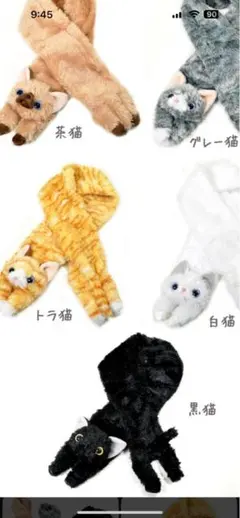 オーダー イメージ