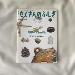 たくさんのふしぎ　1993年4月号　浜辺のたからさがし【＊9/28迄期間限定価格