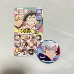 ヒロアカ 轟焦凍