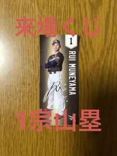 モナカฅ^•ω•^ฅ様 リクエスト 2点 まとめ商品