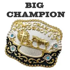 2025年最新】wwe ベルトの人気アイテム - メルカリ