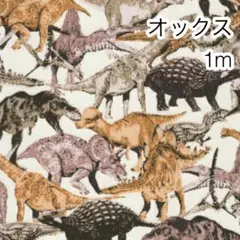 ラスト 1m ダイナソー アイボリー オックス