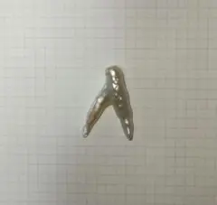 Item thumbnail for item d5f8200f-2fbc-4dea-92ad-4e5db8c73eb8