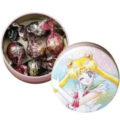 美少女戦士セーラームーン CACAOCAT缶 5個入り スーパーセーラームーン